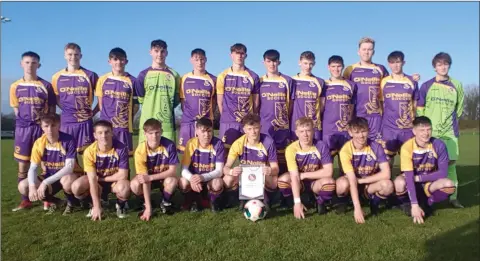  ??  ?? Wexfo rd under-18s, who beat the Limerick Desmond League 3-0 on Saturday.