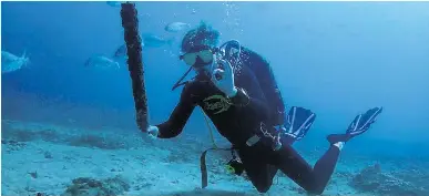 Local research to help save world’s coral reefs - PressReader