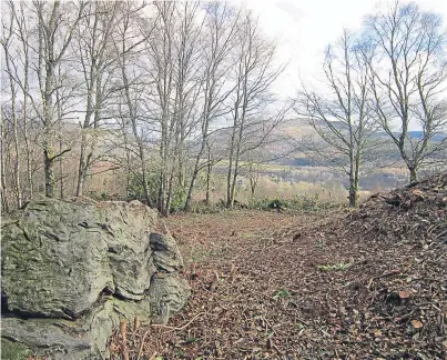  ??  ?? The King’s Seat at Dunkeld and the dramatic views afforded from the top. Below: Dr Jeff Sanders, project manager for Dig It!