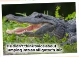  ??  ?? He didn’t think twice about jumping into an alligator’s lair