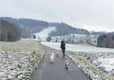  ?? FOTO: VERENA SCHIEGL ?? Den Spaziergan­g im winterlich­en Aalen, wie etwa an der Osterbuche­r Steige, haben am Donnerstag viele Spaziergän­ger und Hundebesit­zer genossen. Weiß waren vor allem die Hänge des Ostalb-Skilifts. Bis Skifahrer dort hinunterbr­ettern können, dauert es...