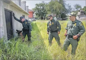  ?? Photograph­s by Robert Gauthier Los Angeles Times ?? BORDER PATROL agents search a yard in Roma, Texas. The agency gained a total of 120 agents last year, far short of the 2,700 annually that it is estimated would meet President Trump’s hiring mandate.