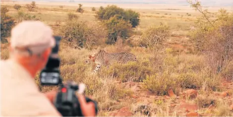  ?? Picture: EUGENE COETZEE ?? UNDER-EXPLORED GEM: A terrific place to visit is the Mountain Zebra National Park in the Cradock area. The park is the only national park which offers guided cheetah tracking