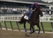  ?? JULIE JACOBSON — ASSOCIATED PRESS ?? Belmont Park, Elmont, N.Y.