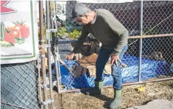  ?? ?? Peter Rothe, president of the board of directors for Feed and Be Fed, points to where the thieves sliced through the fence. Photo by Arturo Garcia-Ayala