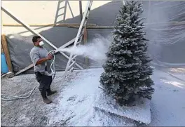  ?? ?? Adolph Naba adjusts his sprayer for a customer’s Christmas tree at Alpine Christmas Trees on Wible Road.