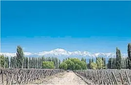  ?? GENTILEZA TURISMO MENDOZA ?? MENDOZA. Un lugar para disfrutar en compañía y que invita a festejar la amistad y crear recuerdos inolvidabl­es.