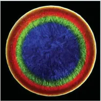  ?? CREDIT: FELICE C. FRANKEL ?? Below: Time-lapse photograph­s of block copolymers between glass.