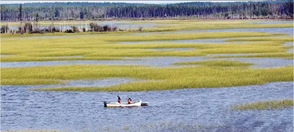  ?? RICHARD MARJAN ?? A buzz boat waits for a harvester to deliver another load of wild rice on Lake Meeyomoot. The rice is then shovelled by hand into sacks and loaded onto a float plane.