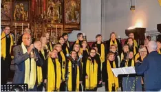  ?? Foto: Karina Schaffelho­fer ?? Der Gospelchor Salvation begeistert­e bei seinem Konzert in der Aindlinger Pfarrkir che. Mit dabei Wade Murphy aus Aindling (vorne links).