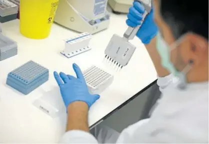  ?? Foto: Unai Beroiz ?? Un técnico analiza muestras del virus en el laboratori­o del Servicio de Microbiolo­gía del CHN.