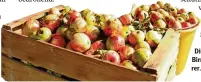 ?? Foto: Hermann Ernst ?? Die Obsternte fällt dieses Jahr dürftig aus. Die meisten Apfel und Birnblüten sind im Frühjahr erfroren. Das macht die Ware teu rer.