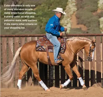  ??  ?? Color- blindness is only one of many mistakes people make when horse shopping. A pretty color, as with this palomino mare, only matters if she meets other criteria on your shopping list.