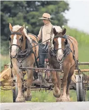  ??  ?? La Farge has a prominent Amish population. Members largely forgo modern convenienc­es in favor of a simple, Christian lifestyle.