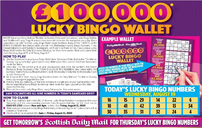Bingo daily routine