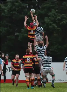  ??  ?? Eoin Marmion of Greystones rises highest in the line-out.