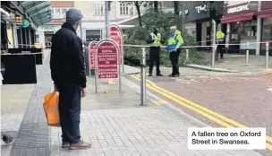  ??  ?? A fallen tree on Oxford Street in Swansea.