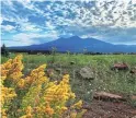  ?? NICK OZA/THE REPUBLIC ?? Thundersto­rms linger in the Flagstaff area on Aug. 10.