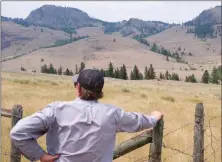  ?? To The Herald ?? NATURE TRUST/Special
A domestic cattle ranch will continue operating on a 161-acre site recently purchased by a conservati­on group that’s now part of the White Lake Basin Biodiversi­ty Ranch.