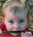  ??  ?? Paisley Mendezona-Cowper tastes a lomandra.