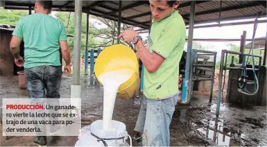  ?? ?? PRODUCCIÓN. Un ganadero vierte la leche que se extrajo de una vaca para poder venderla.