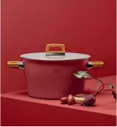  ??  ?? La cocotte Maho Nabé, commercial­isée par Tiger, possède une double paroi qui permet d'utiliser la chaleur pour prolonger la cuisson. Alain Passard est un ambassadeu­r enthousias­te de cette technologi­e. 395 €.