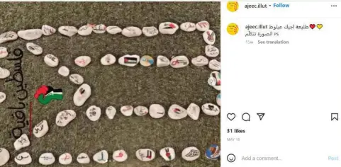  ?? (Screenshot) ?? INSTAGRAM POST on an AJEEC youth group account, showing stones arranged to form the Palestinia­n flag.