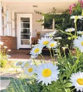  ??  ?? Clusters of cheery Shasta daisies greet visitors coming up the pathway to the porch.