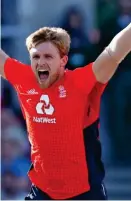  ?? REX ?? Fighting talk: David Willey