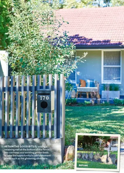  ?? ?? RETAIN THE GOOD BITS By adding a retaining wall at the bo om of the fence, you can keep your existing garden beds or take the opportunit­y to add statement plants such as the glistening olive here.