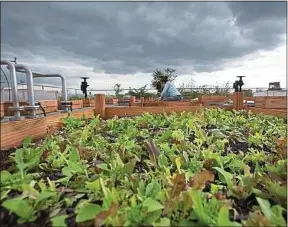  ??  ?? Un potager sur le toit de votre immeuble ? Cette pratique est en plein essor.