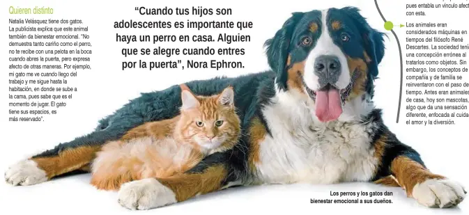  ??  ?? Los perros y los gatos dan bienestar emocional a sus dueños.