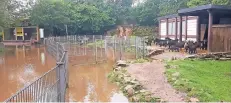  ?? FOTO: WILDPARK ?? Wege und Gehege, wie das der Ziegen, waren im Wildpark unter Wasser gesetzt. Die Wege sind teils stark beschädigt, meldet die Parkleitun­g.