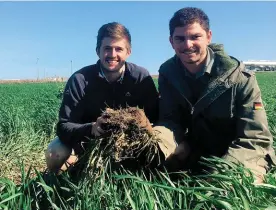  ??  ?? BO: Mnre. Rens Smit (links) en PJ Neethling in ’n koringland. Die tipiese wisselbous­telsel vir die plaas is mielies-soja-koring-soja, waar die mielies gemiddeld 10 ton/ha, die soja (eerste jaar) gemiddeld 4 ton/ha, die koring gemiddeld 4 ton/ha en die...