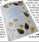  ??  ?? Ihre Mutter hat Maria Burlefinge­r bereits früh in die Pflanzen welt eingeführt. Dafür hat sie ihr ihr Herbarium gewidmet.