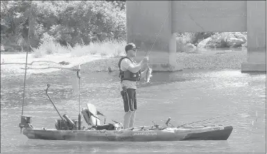  ?? Keith Bryant/The Weekly Vista ?? Drew Gregory, host of Hooked on Wild Waters, pulls a bass from the Elk River.