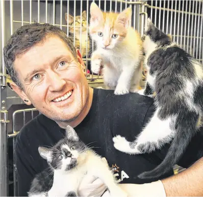  ?? PHOTO: STEVE HUMPHREYS ?? Purrfect pets: Animal carer Colm O’Donoghue with some of the kittens available at the DSPCA in Dublin.