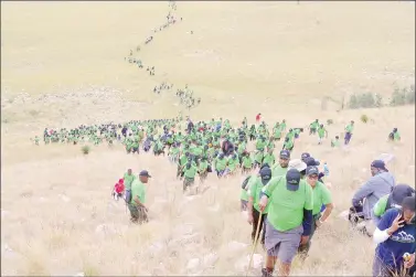  ?? (Pic: Nhlanganis­o Mkhonta) ?? Hikers ascending the Mahamba Mountain to mark the 9th edition of the Mahamba Gorge Hiking on Sunday.