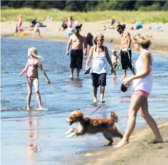  ?? BILD: HP/ARKIV ?? Västra stranden lockar både människor och hundar men är ingen officiell badplats där vattnet provtas. Detta vill kommunen informera om via skyltar.