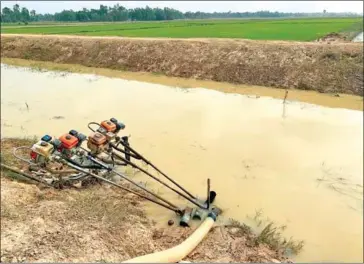  ?? CNC ?? Farmers pump water from a canal for dry-season rice cultivatio­n in Prey Veng province.