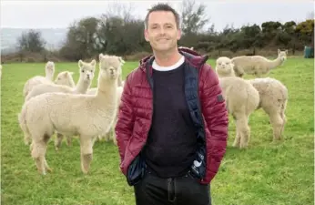  ??  ?? Top left Aengus with some of the alpaca herd, which was Terry’s idea. ‘It’s been a learning curve ever since,’ Aengus says with a laugh