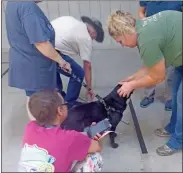  ?? sean Williams ?? Dogs and cats alike from Polk County were brought to Rockmart’s Nathan Dean Community Center on Saturday, Sept. 15 for the Cedartown-Polk County Humane Society’s rabies clinic.