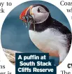  ??  ?? A puffin at South Stack Cliffs Reserve