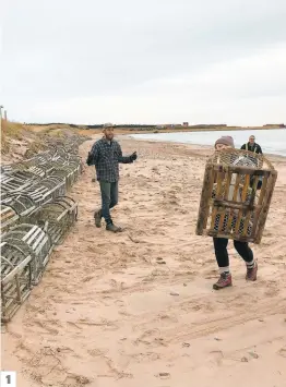  ?? PHOTOS COMITÉ ZIP ET MUNICIPALI­TÉ DES ÎLES-DE-LA-MADELEINE ?? 1. Félix-antoine Langlois, pour le comité ZIP (à gauche), et Catherine Leblanc-jomphe, chargée de projet chez Fragîles (à droite), installent des vieux casiers à homards pour retenir le sable et reconstrui­re une dune, aux Îles-de-la-madeleine.2. Plus de 200 vieux casiers à homards ont été installés et attachés ensemble le long du littoral. 3. Les casiers sont recouverts de sable, et la dune ainsi formée protège les bâtiments.