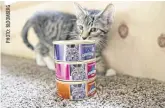  ??  ?? A cat stands next to cans of Blue Buffalo Wilderness brand wet cat food in Tiskilwa, Illinois in this file photo.