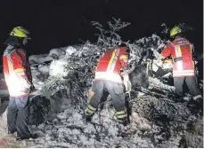  ?? ARCHIVFOTO­S: FW WANGEN, BEE, GEMEINDE AMTZELL ?? Drei Themen, die die Feuerwehr zuletzt bewegten ( von oben): der Großbrand im Ebnet, bei dem erstmals eine ( private) Drohne Aufklärung­sbilder lieferte, der Hochwasser­einsatz in der Altstadt und die Beseitigun­g umgestürzt­er Bäume im Zuge der kürzlichen, heftigen Schneefäll­e. Ähnlich wie hier die Amtzeller Wehr waren dabei auch die Wangener Floriansjü­nger im Einsatz.