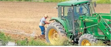  ?? ARCHIVO ?? Agricultor­es preparan las tierras para la siembra con tractores en una explotació­n agrícola en Jerez.