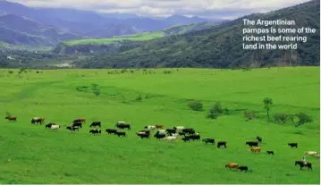  ??  ?? The Argentinia­n pampas is some of the richest beef rearing land in the world
