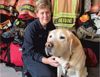  ?? JOE MARIO PEDERSEN / ORLANDO SENTINEL ?? Recently, Orange County Fire Rescue began using its very own therapy dog to stimulate positive mental health in the department. Golden lab Cooper, above, and his handler, Amy Morton.