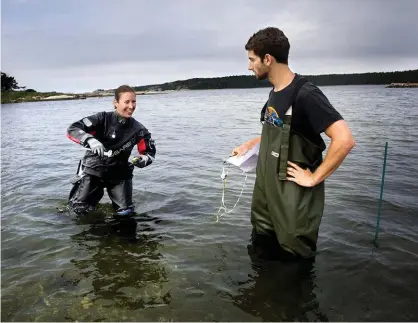  ?? Arkivbilde­r: STEFAN BERG ?? GÅR UNDER YTAN. Marinbiolo­gen Åsa Strand är en av de som arbetar med att kartlägga blåmussel- och ostronbest­ånden. T h forskarkol­legan Mikael Nilsson.